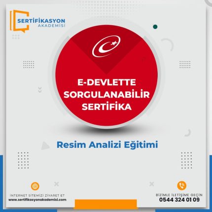 Resim Analizi Eğitimi
